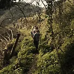 Domo En Vinedos Canon Del Mino Ribeira Sacra Pincelo