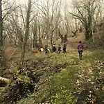 Domo En Vinedos Canon Del Mino Ribeira Sacra אוהל מפואר *