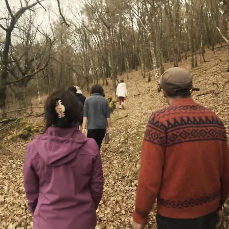 خيمة فخمة Geodesic Domes With Views In Ribeira Sacra Pincelo