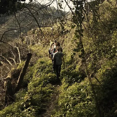 Geodesic Domes With Views In Ribeira Sacra Pincelo