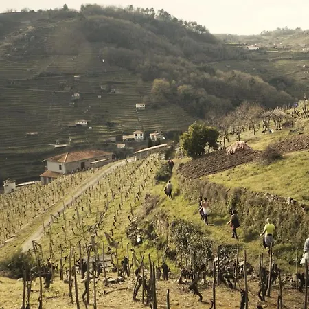 Domo En Vinedos Canon Del Mino Ribeira Sacra