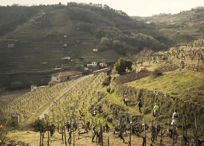 Geodesic Domes With Views In Ribeira Sacra